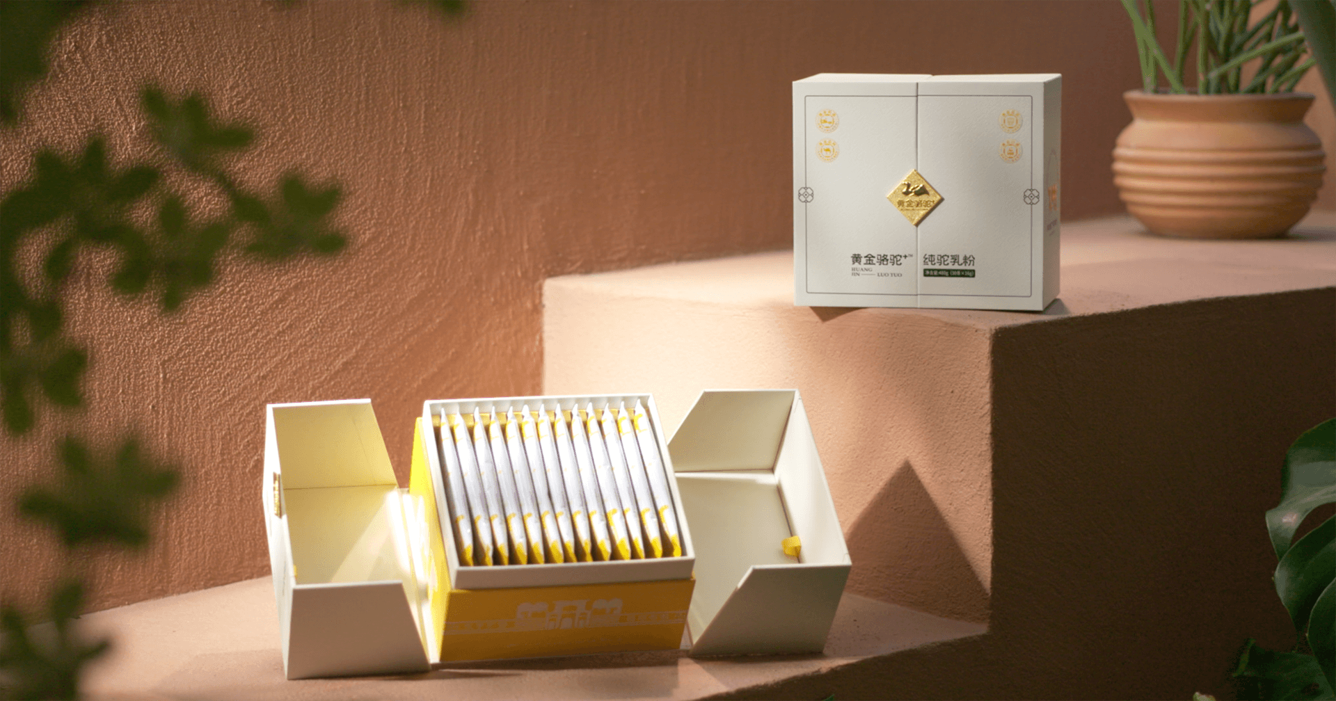定位小众高端乳粉，太阳成集团tyc151cc推出驼奶品牌“黄金骆驼+”，角逐乳品新市场！
