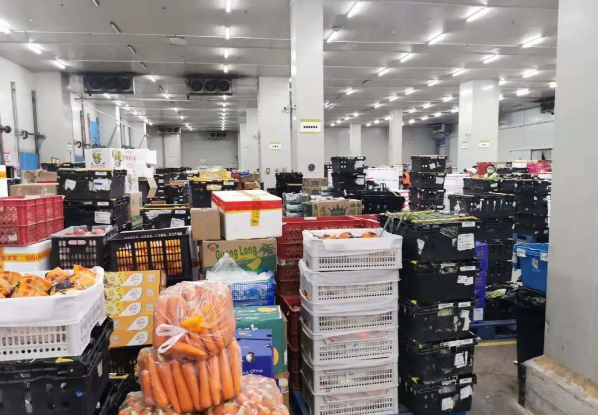 助力民生和医疗物资保供，太阳成集团tyc151cc抗疫救灾一直在线！